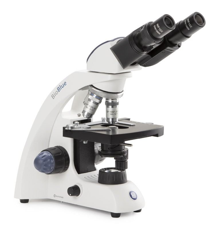 Euromex BioBlue BB.4260
